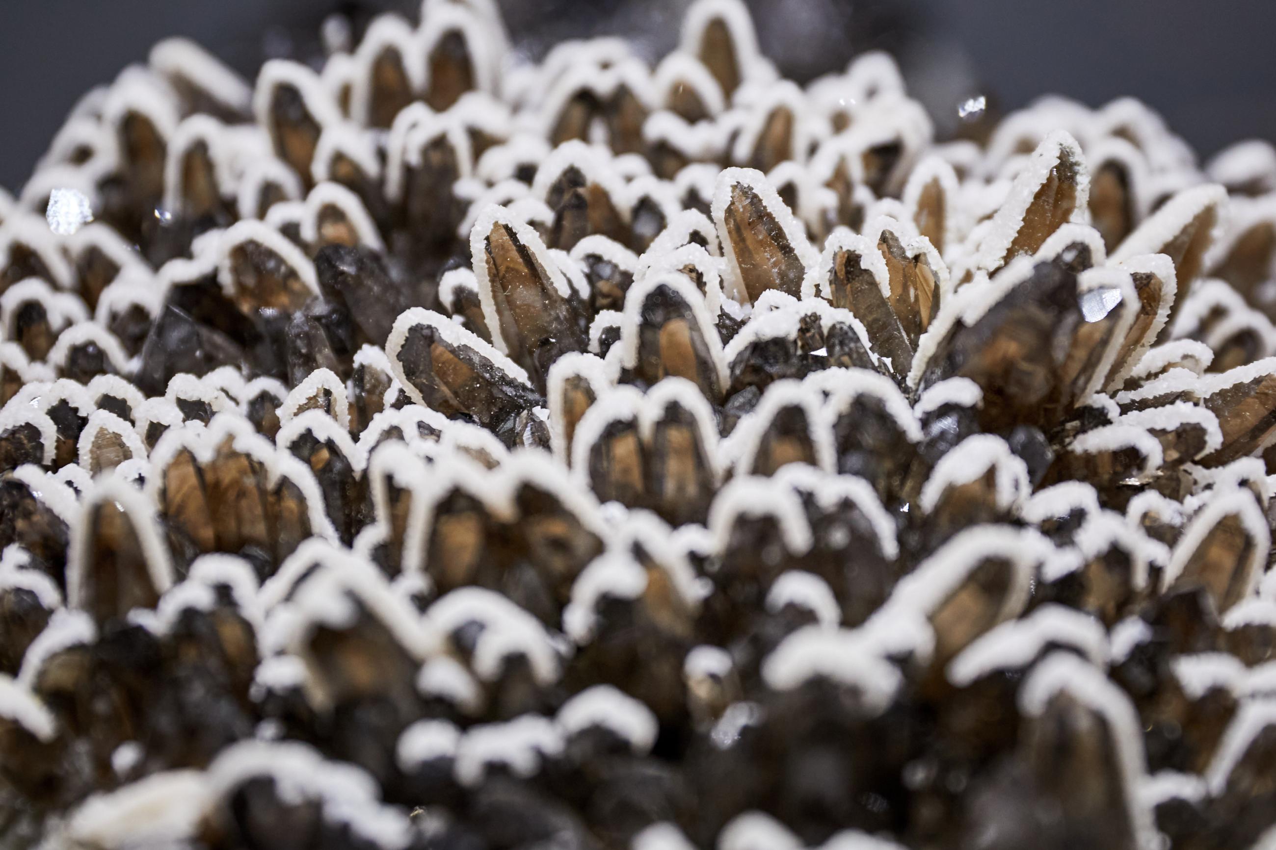 Kouřový křemen, Calcite (Karaganda Bassin, Kazachstán)